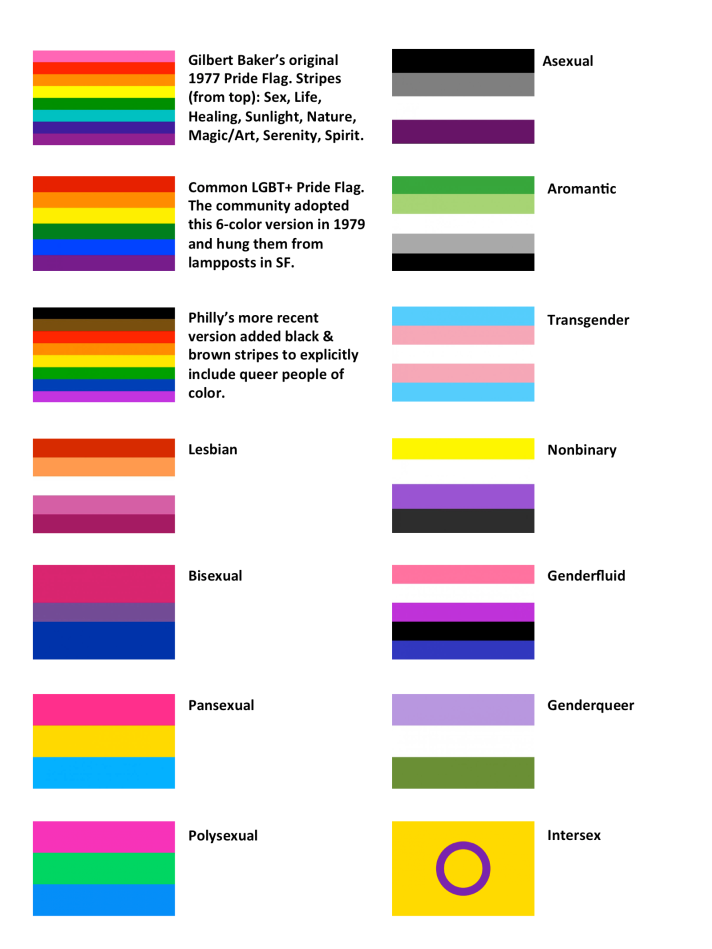 Color images of various pride flags and what they stand for